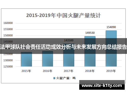 法甲球队社会责任活动成效分析与未来发展方向总结报告