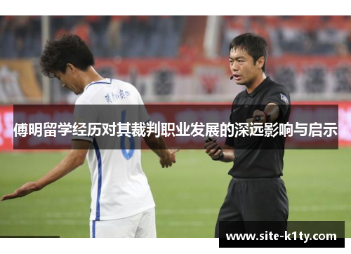 傅明留学经历对其裁判职业发展的深远影响与启示