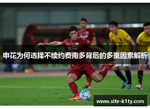 申花为何选择不续约费南多背后的多重因素解析
