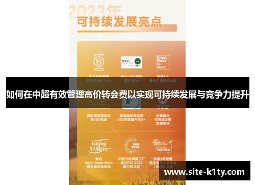 如何在中超有效管理高价转会费以实现可持续发展与竞争力提升