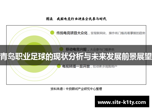 青岛职业足球的现状分析与未来发展前景展望