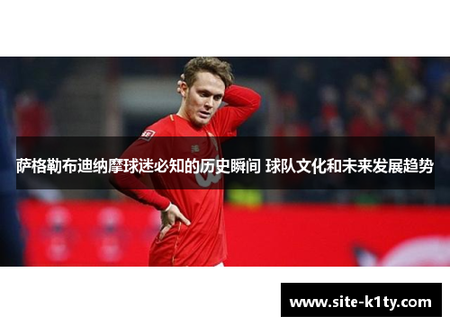萨格勒布迪纳摩球迷必知的历史瞬间 球队文化和未来发展趋势